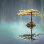 featured_mind_7783-2